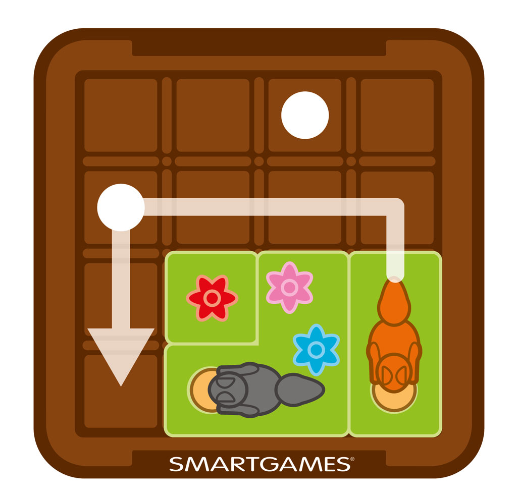 SmartGames - Cache Noisettes - Jeu de Réflexion et de Logique - Mettez vos  provisions à l'abri - 60 Défis de Niveaux Différents - 1 Joueur - A partir  de 6 Ans : : Jeux et Jouets