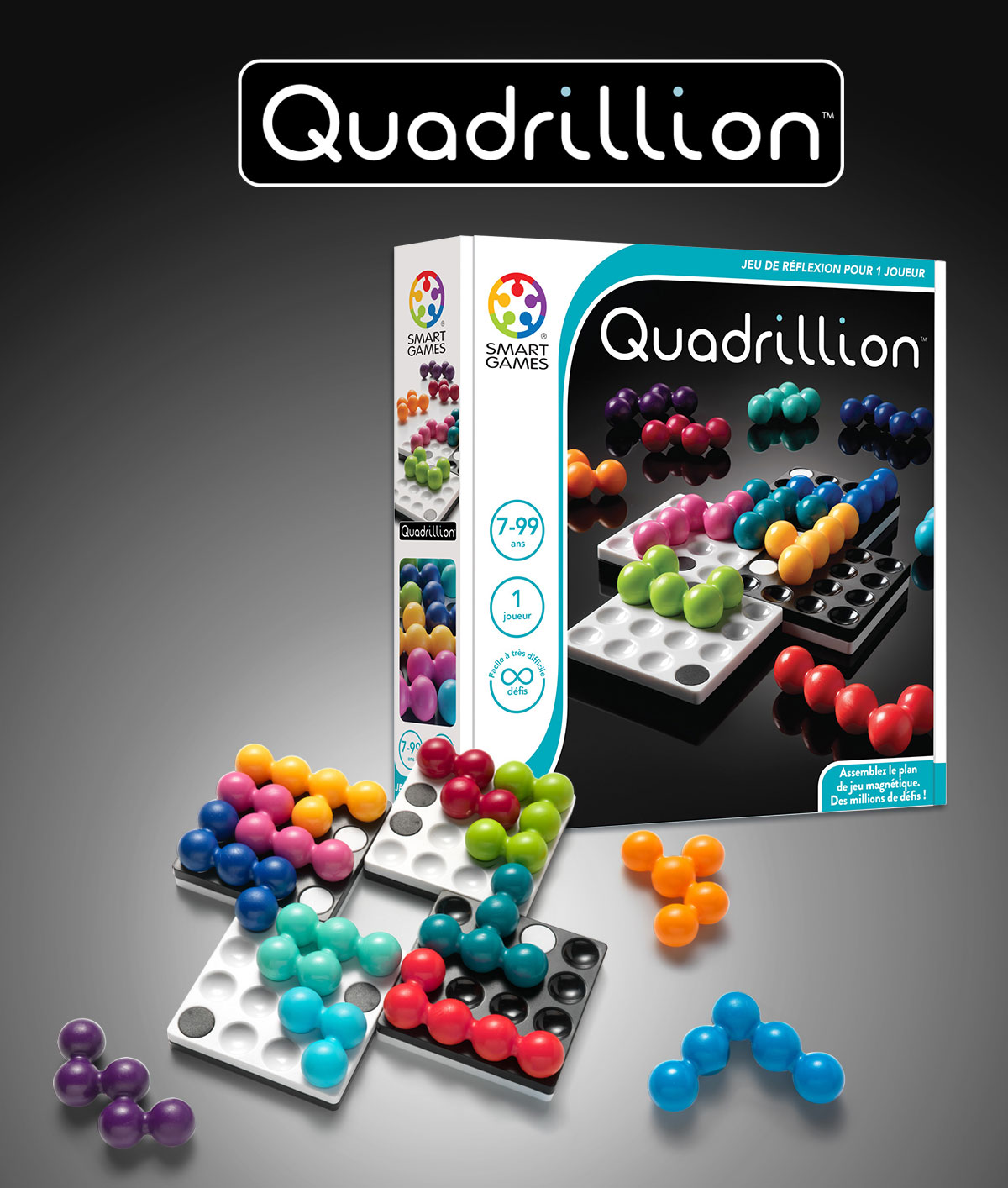 Smart Games Quadrillion Puzzle Game 