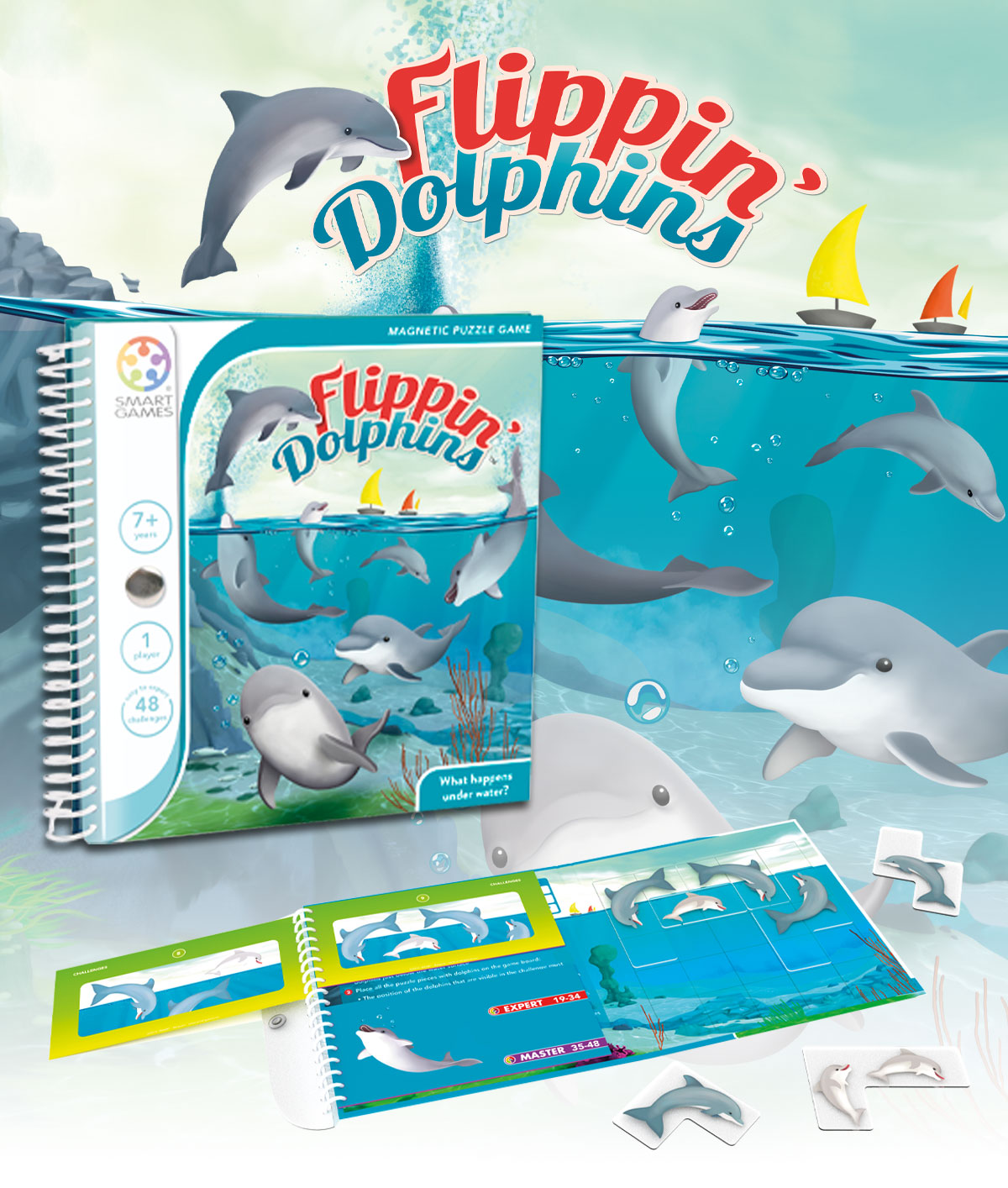 Flippin' Dolphins 